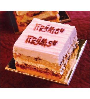 ترامیسو تی اس